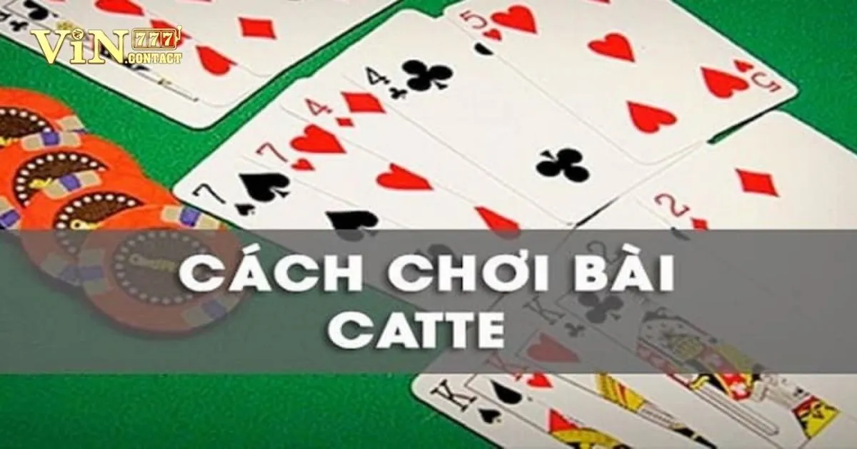 Hướng Dẫn Cá Cược Game Bài Catte Vin777 1 Giới Thiệu Game Bài Catte Tại Vin777