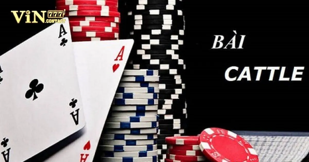 Hướng Dẫn Cá Cược Game Bài Catte Vin777 2 Quy Tắc Chơi Catte