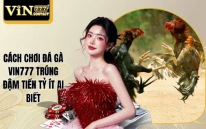 Cách chơi đá gà Vin777