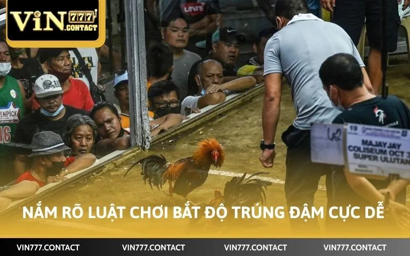 Nắm rõ luật chơi bắt độ trúng đậm cực dễ